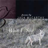 What I Saw by Jack McCarthy